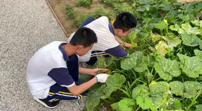 平度双语学校-野趣生态科普基地开课啦