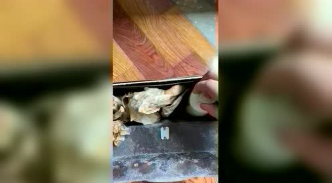 真正的老酒三潭特曲
