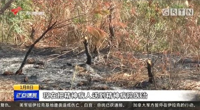 云浮罗定碳汇林遭纵火，火一堆接一堆烧，疑似精神病人点火？