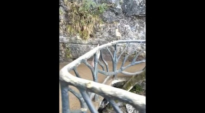 天门山国家森林公园