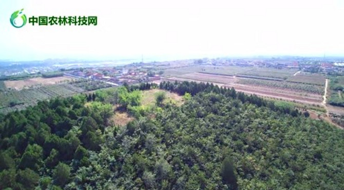 航拍杨凌隋泰陵，还有美丽乡村王上村的田园风光