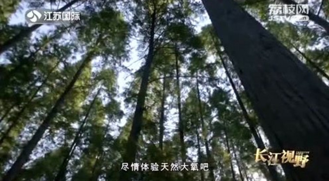 微缩亚马逊！铁山寺国家森岭公园天然氧吧！连空气都是甜的！