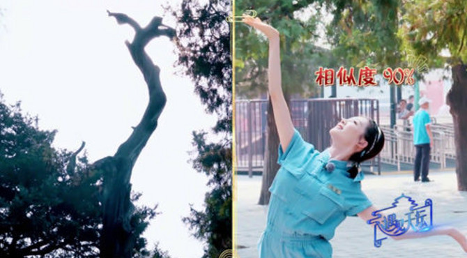 完美的模仿完“问天柏”的造型后，苗苗扶着腰直喊疼，姿势很难