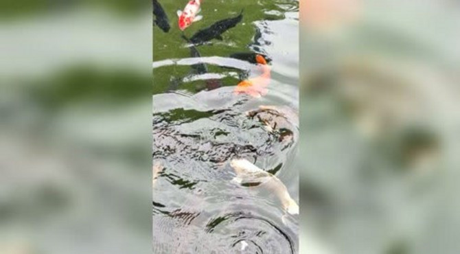 五龙潭