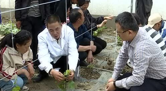 措美县建成全市海拔最高的现代农业科技示范园