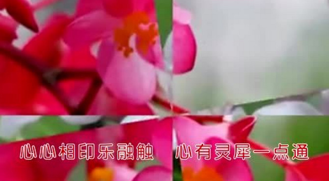 花园小径秀恩爱