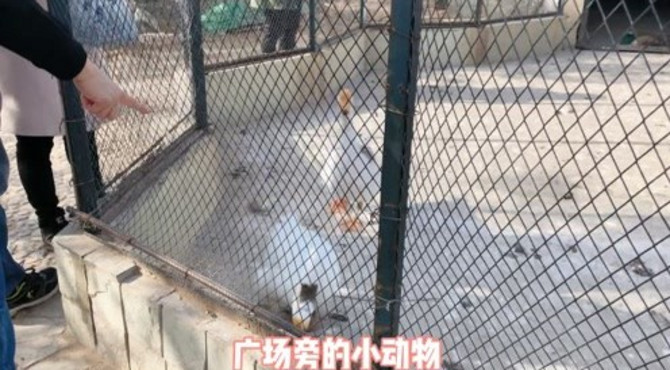 月亮河 下