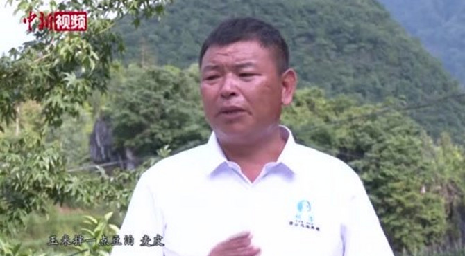 广西瑶族村落开方治“穷病”：高山育“凤凰”密林养飞鸡