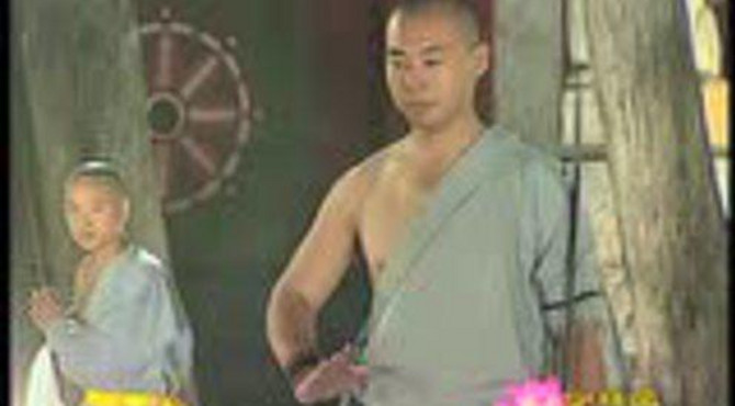 少林延清之少林梅花单刀