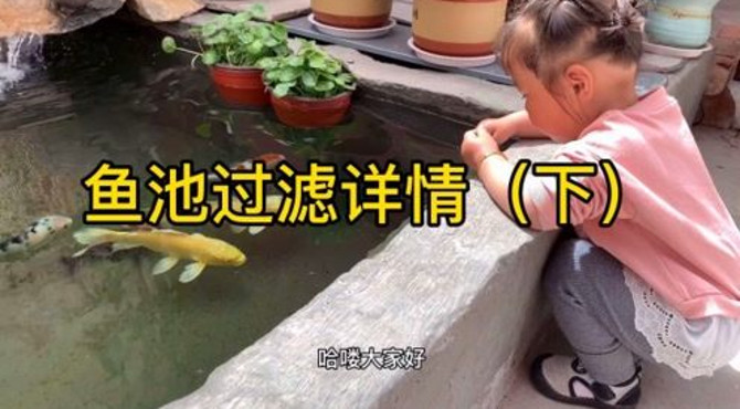 鱼池过滤详情，鱼池的建设基本费用。