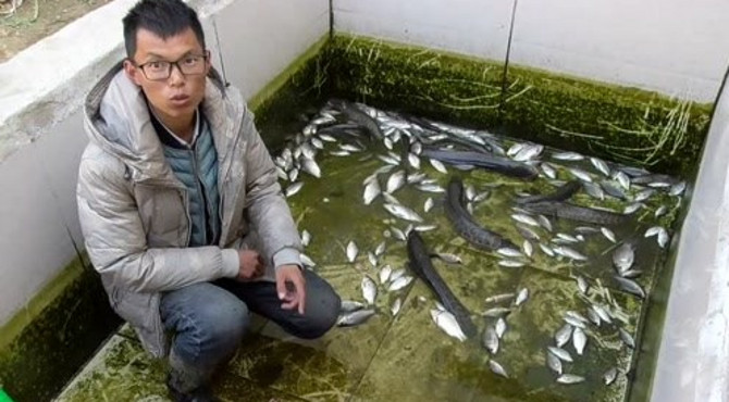 鱼池3个月没换水，抽干看看还有多少鱼