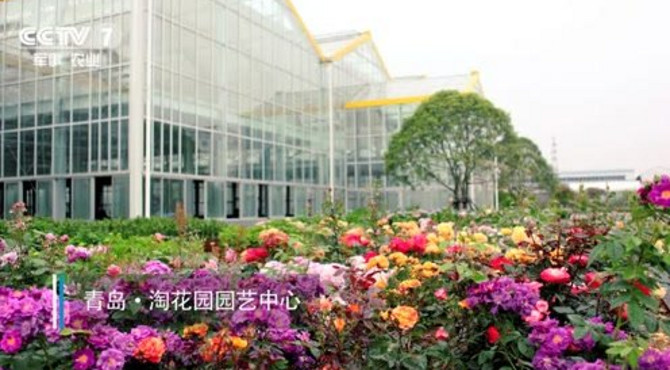 CCTV7-专题片-淘花园园艺中心：赏园艺风韵，享美好生活