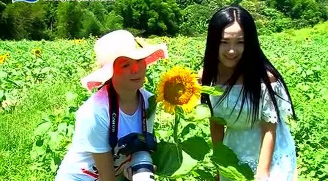 官圩镇葵花观光园试水乡村旅游