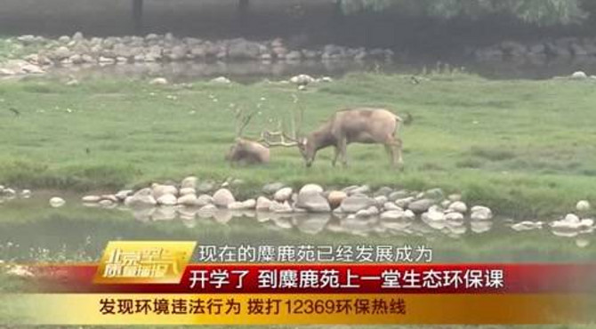 生态环保365 开学了 到麋鹿苑上一堂生态环保课