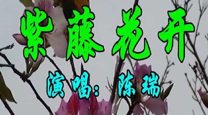 陈瑞一首经典情歌《紫藤花开》好听极了