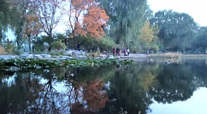 北京 玉渊潭公园