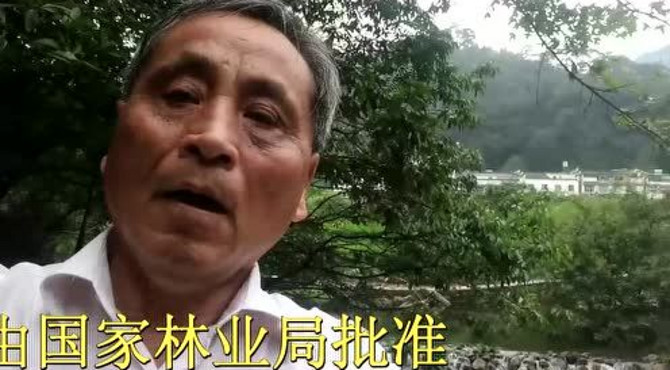 江 西 游（三）瑶里国家森林公园