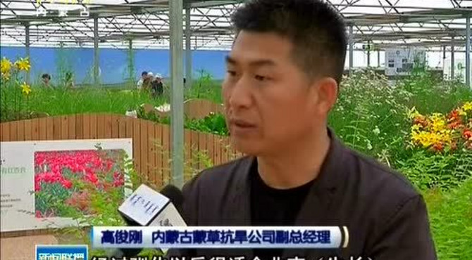 蒙草乡土植物用于北京市绿化工程