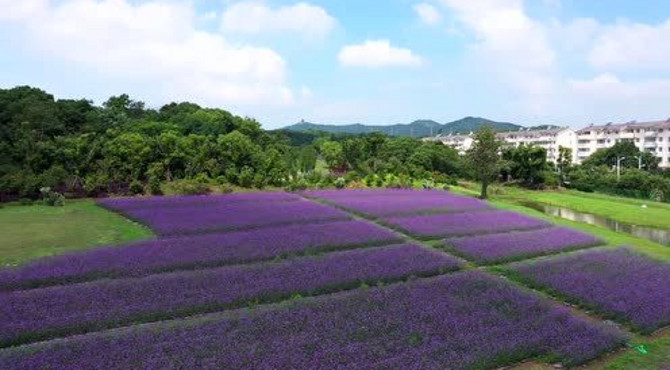 苏州太湖国家旅游度假区丨植物科普园