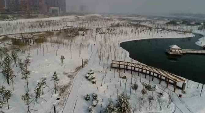 伊川县植物科普园雪景