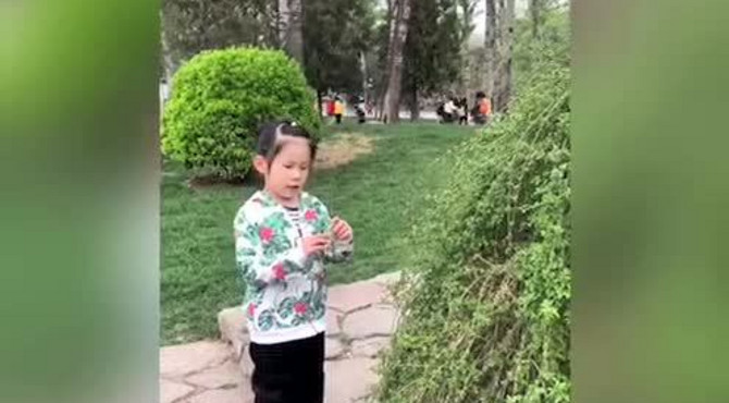 日坛公园踏春之旅
