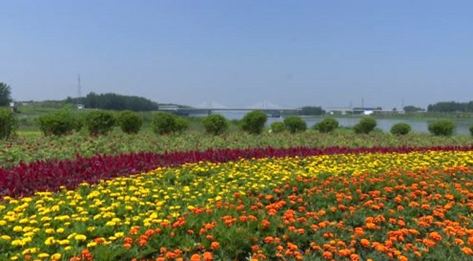 五河县特色滨水景观带——滨河公园