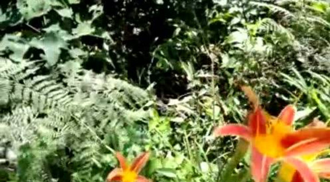 粤凰生态园介绍