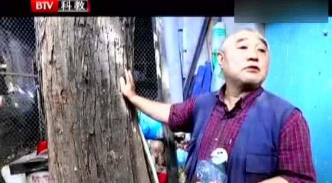 《记忆2016》我家住在灵境胡同