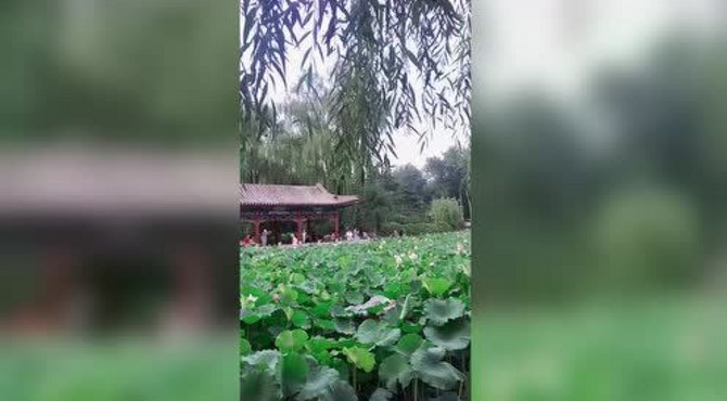 日坛公园