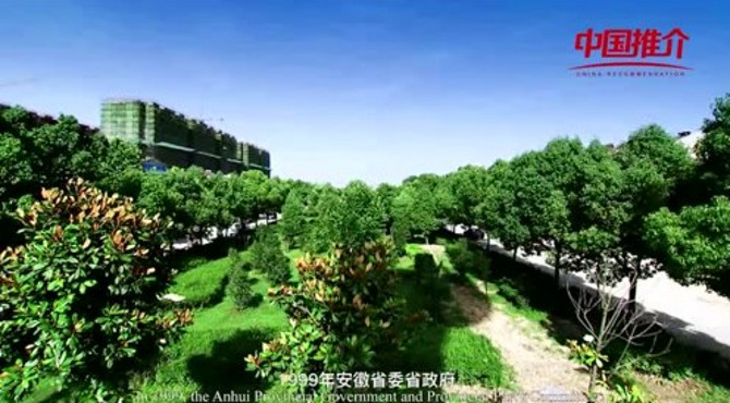 《中国推介》——生态大湿地 诗画焦岗湖
