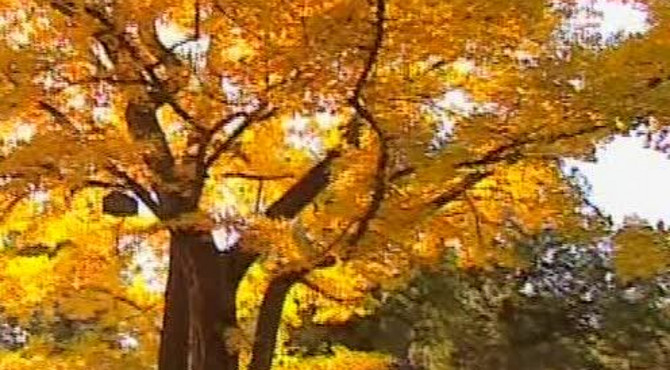 红螺寺景区风光片