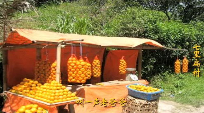 美丽巴州区-枣林镇
