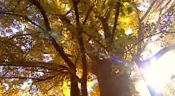 红螺寺景区风光片