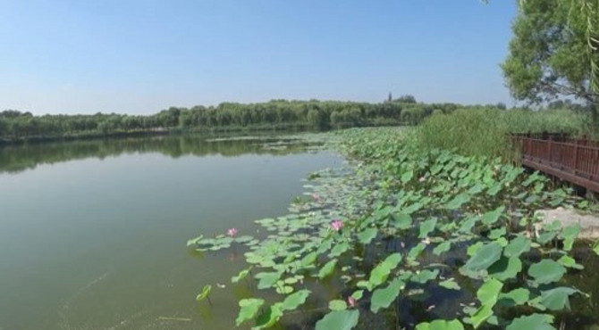 北京南海子公园美景