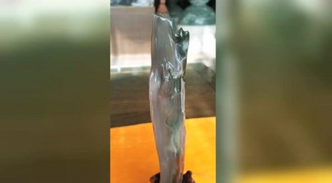 完全玉化的硅化木树化玉