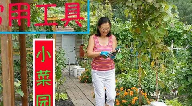 我来介绍一些小菜园的常用工具 人巧不如家什妙 common tools for small vegetable gardens