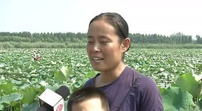 金北荷园：绿色生态好去处