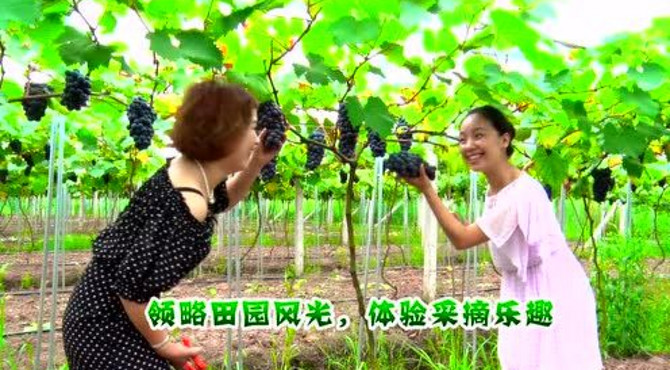 星工场农业生态园广告