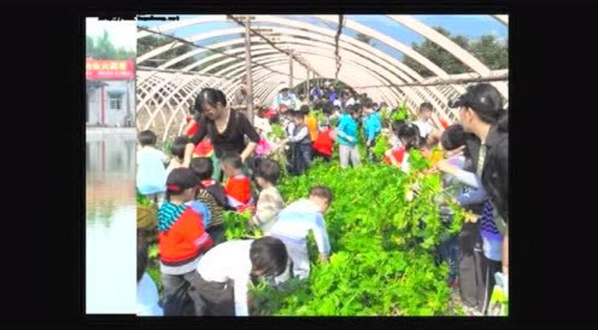 永顺植物园宣传片