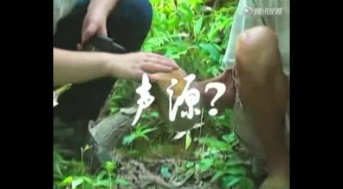 解密大行动 响谷怪音之谜