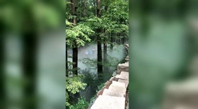 北京植物园樱桃沟冒着仙气，吸引很多游客前来旅游，大家有来玩过吗