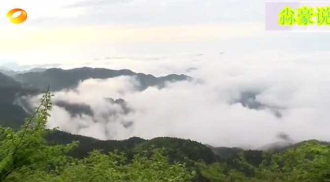 娄底涟源：云海日出，龙山森林公园向世人展现大自然的壮美