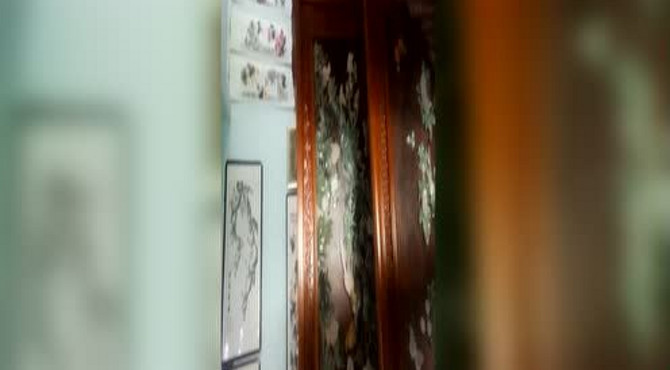 不认识画家又能无成本开名家艺术画廊的模式在名家艺术联盟