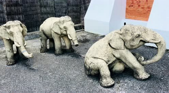 清迈世界园艺博览园