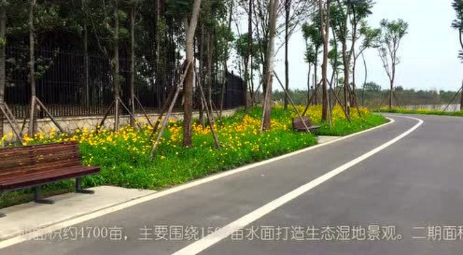 青龙湖湿地公园