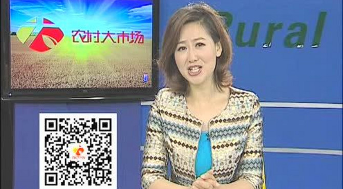 丰宣果蔬专业合作社