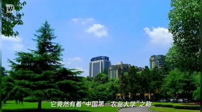 这所大学非“农业类”，全国排第三，却被人誉为中国第一农业大学