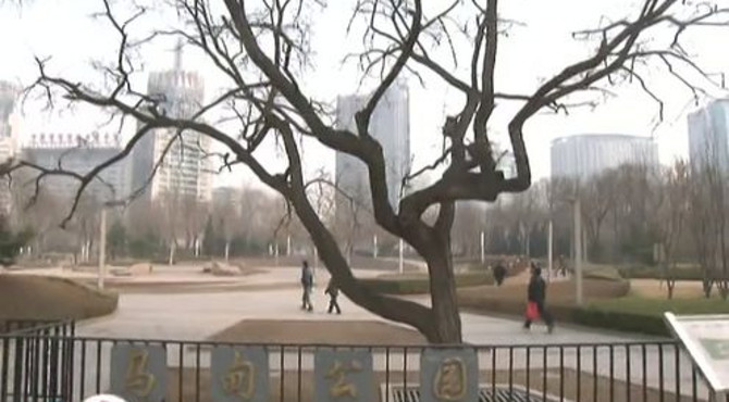 《北京公园群众文化活动巡礼》马甸公园