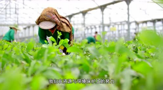 2018百旺宣传片