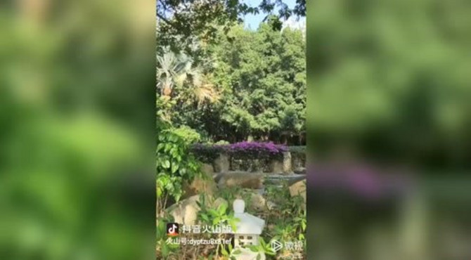 北江滨公园的美丽景色